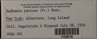Image Associated With the Occurence
